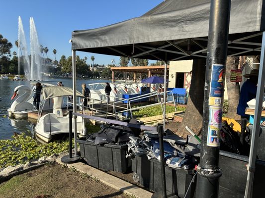 Echo Park Swan Boats by Wheel Fun Rentals by null