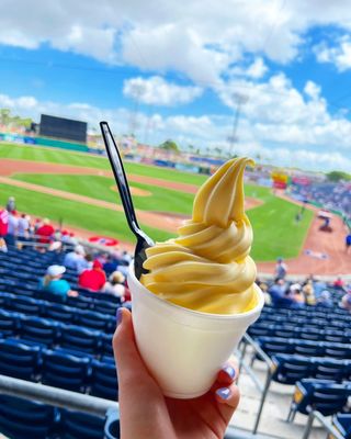 BayCare Ballpark by null