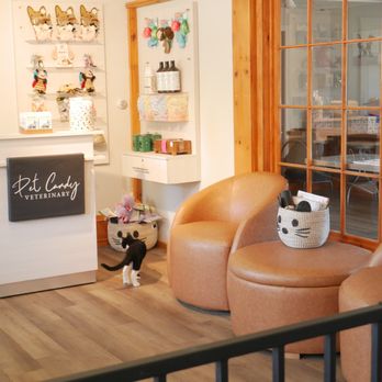 Pet Candy - Lobby and pet boutique - Veterinarians Near Me - Avon, Connecticut Pet Candy - Lobby and pet boutique - Veterinarians Near Me - Avon, Connecticut