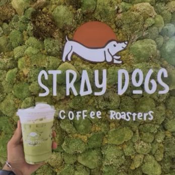 Stray Dogs Coffee Roasters - Matcha with cold foam - Coffee Roasteries Near Me - Riverside, California