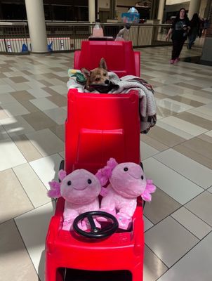 Build-A-Bear Workshop