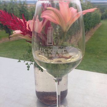 Luckett Vineyards - Wineries Near Me - Wolfville, Nova Scotia