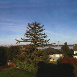 Annie's Cottage - Beautiful view from the sitting area