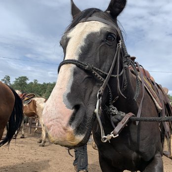 Sombrero Stables - Sam Elliott - Horseback Riding Near Me - Estes Park, Colorado