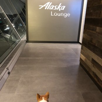Alaska Lounge - Airport Lounges Near Me - Jamaica, New York Alaska Lounge - Airport Lounges Near Me - Jamaica, New York