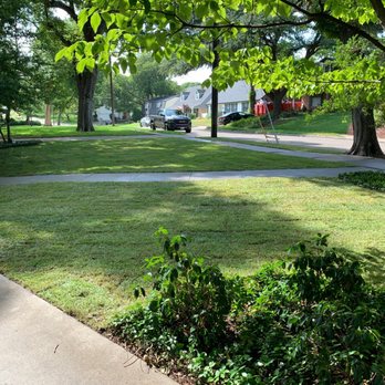 Saucedo Landscaping - New lawn - Landscaping Near Me Saucedo Landscaping - New lawn - Landscaping Near Me