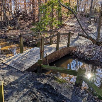 The Bog Garden - Parks Near Me - Greensboro, North Carolina