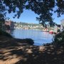 Chinook Lake Union Boat Moorage
