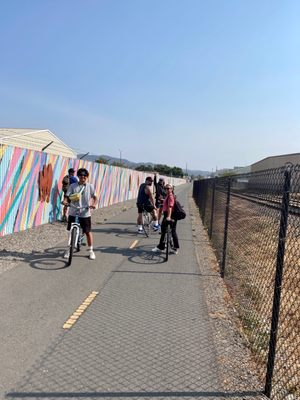 Napa Valley Vine Trail by null