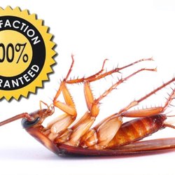 Source Pest Control - We offer the best warranty in the business! Find out for yourself. Call now!!