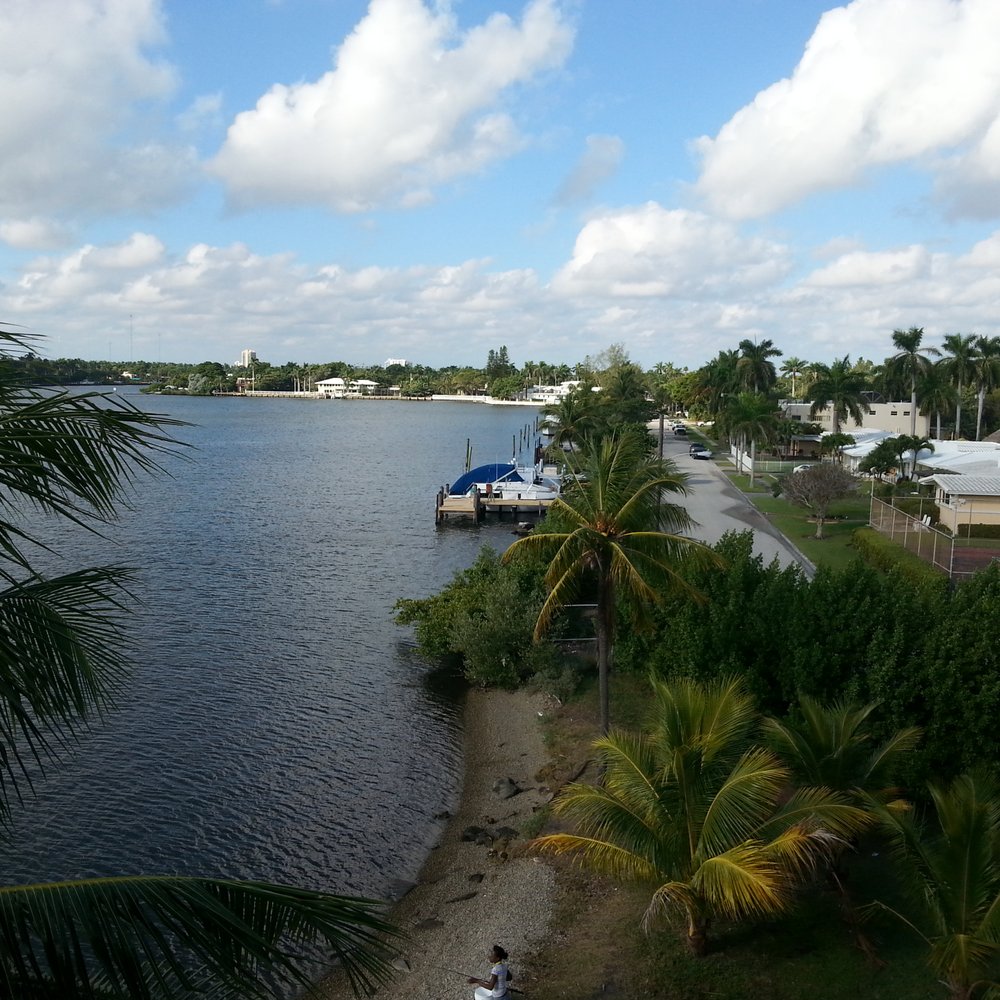 Holland Park - The view from the watchtower. - Parks Near Me - Hollywood, Florida