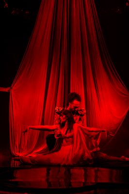 Faena Theater by null