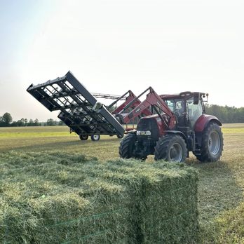 Cainhoy Feed & Seed - Orchard Alfala - Livestock Feed & Supply Near Me - Charleston, South Carolina Cainhoy Feed & Seed - Orchard Alfala - Livestock Feed & Supply Near Me - Charleston, South Carolina