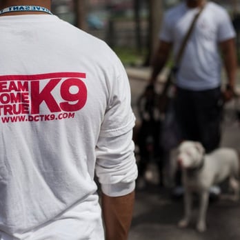 Dream Come True K9 - Pet Training Near Me - New York, New York Dream Come True K9 - Pet Training Near Me - New York, New York