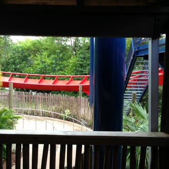 SheiKra - Amusement Parks Near Me - Tampa, Florida SheiKra - Amusement Parks Near Me - Tampa, Florida