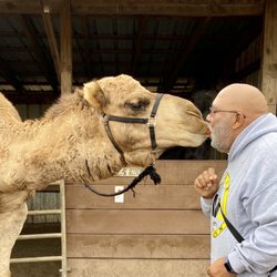 Half Moon Petting Zoo