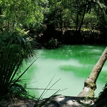 Green Springs Park - Green springs! - Hiking Near Me - Deltona, Florida