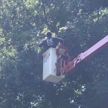 F & F Tree Service - Tree Services Near Me - Beavercreek, Ohio