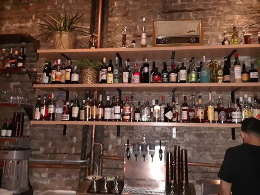 The Pink Squirrel by null