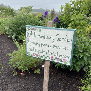 Adelman Peony Gardens - Nurseries & Gardening Near Me - Salem, Oregon