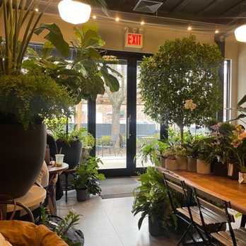Kunst Coffee Haus - Inside the shop - Coffee & Tea Near Me - Bayside, New York Kunst Coffee Haus - Inside the shop - Coffee & Tea Near Me - Bayside, New York