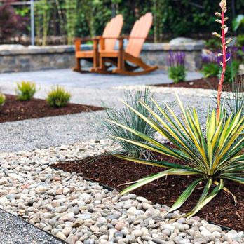 Gardeniascape - a plant in a gravel bed with a wooden chair in the background - Lawn Services Near Me - Orlando, Florida Gardeniascape - a plant in a gravel bed with a wooden chair in the background - Lawn Services Near Me - Orlando, Florida