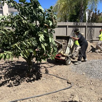 Moon Valley Nurseries - Nurseries & Gardening Near Me - Roseville, California Moon Valley Nurseries - Nurseries & Gardening Near Me - Roseville, California