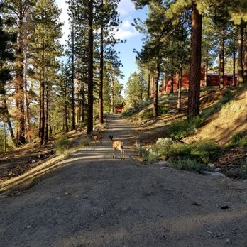 Boulder Lodge - Hotels Near Me - June Lake, California