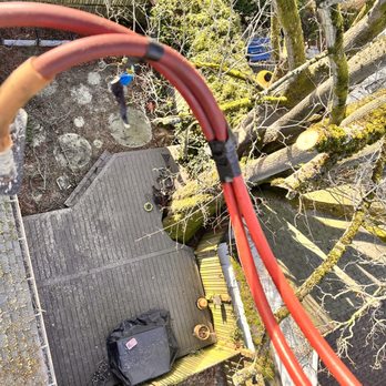 Misael Tree Services - Tree trimming - Tree Services Near Me - Renton, Washington Misael Tree Services - Tree trimming - Tree Services Near Me - Renton, Washington