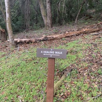 Villa Montalvo - Yes please - Hiking Near Me - Saratoga, California Villa Montalvo - Yes please - Hiking Near Me - Saratoga, California
