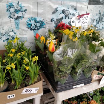 Winnie Florist - Florists Near Me - Vancouver, British Columbia Winnie Florist - Florists Near Me - Vancouver, British Columbia