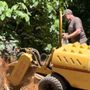 Photo of Hamm's Tree Service