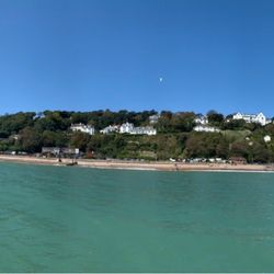 Dover Sea Safari - So amazing!