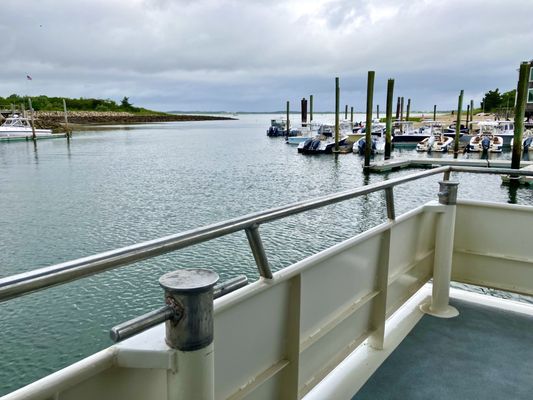 Hyannis Whale Watcher Cruises by null