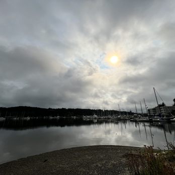 Donkey Creek Park - View from the path IG: @ohmyono - Parks Near Me - Gig Harbor, Washington Donkey Creek Park - View from the path IG: @ohmyono - Parks Near Me - Gig Harbor, Washington