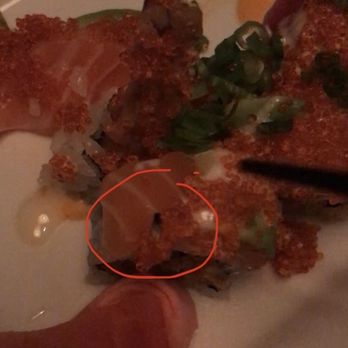 Maru Sushi & Grill - Insect in the sushi - enjoy - Sushi Bars Near Me - East Lansing, Michigan