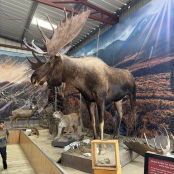 Wild Adventure Yukon - Historical Tours Near Me - Carcross, Yukon