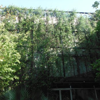 Alicia's Garden - Alicia’s Garden - Parks Near Me - Charleston, South Carolina Alicia's Garden - Alicia’s Garden - Parks Near Me - Charleston, South Carolina