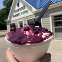 a hand holding a bowl of blueberry yogurt a hand holding a bowl of blueberry yogurt