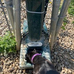 Schneider Community Park - Water feeder