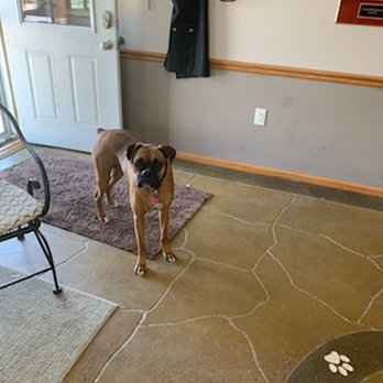 Stonemill Pet Resort - Pet Groomers Near Me - Tipton, Iowa Stonemill Pet Resort - Pet Groomers Near Me - Tipton, Iowa