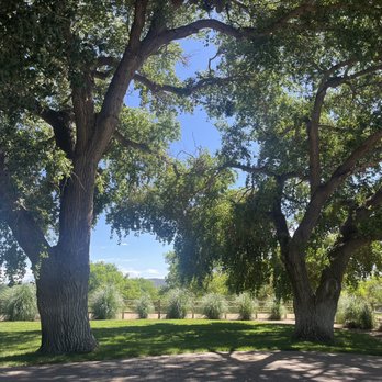 Mortimer Farms - Big beautiful trees emitting their energy signatures for all to breathe. - Attraction Farms Near Me - Dewey, Arizona Mortimer Farms - Big beautiful trees emitting their energy signatures for all to breathe. - Attraction Farms Near Me - Dewey, Arizona