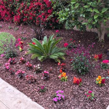 Treehouse Landscape Design - Landscape Architects or Designers Near Me