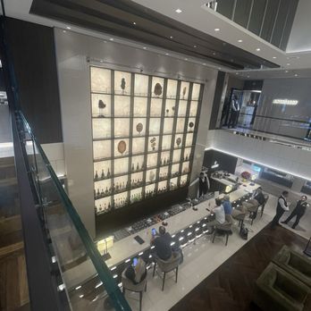 Explora Cruises - Atrium bar is gorgeous - Boat Tours Near Me - Miami, Florida Explora Cruises - Atrium bar is gorgeous - Boat Tours Near Me - Miami, Florida