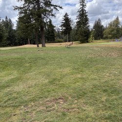 Lake Wilderness Golf Course - Looking over at hole 3.