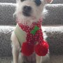 Photo of Fur Face Pet Care