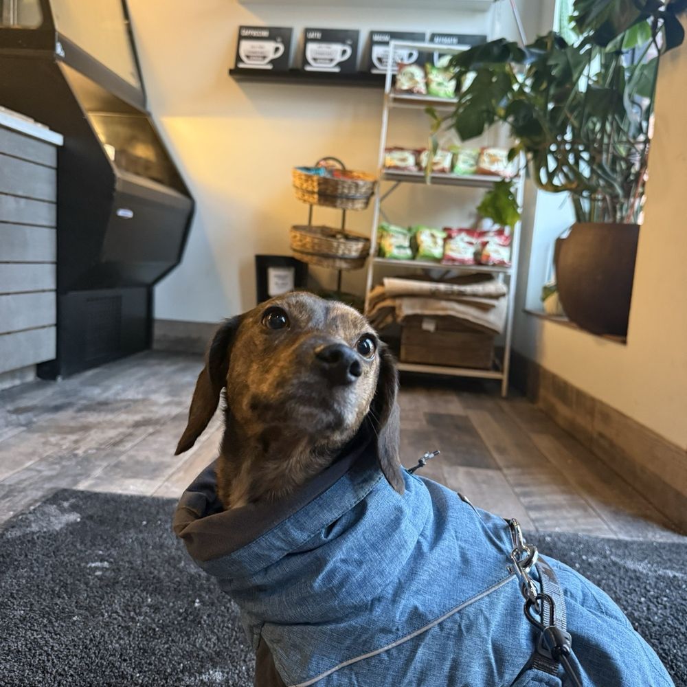 OneDo Coffee Roasters - pet friendly! - Coffee Roasteries Near Me - Baltimore, Maryland