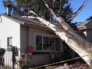 Slide of Octagon Roofing