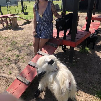 Happy Goat Retreat - Vacation Rentals Near Me - Willis, Texas