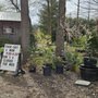 Photo of Thee Tree Farm